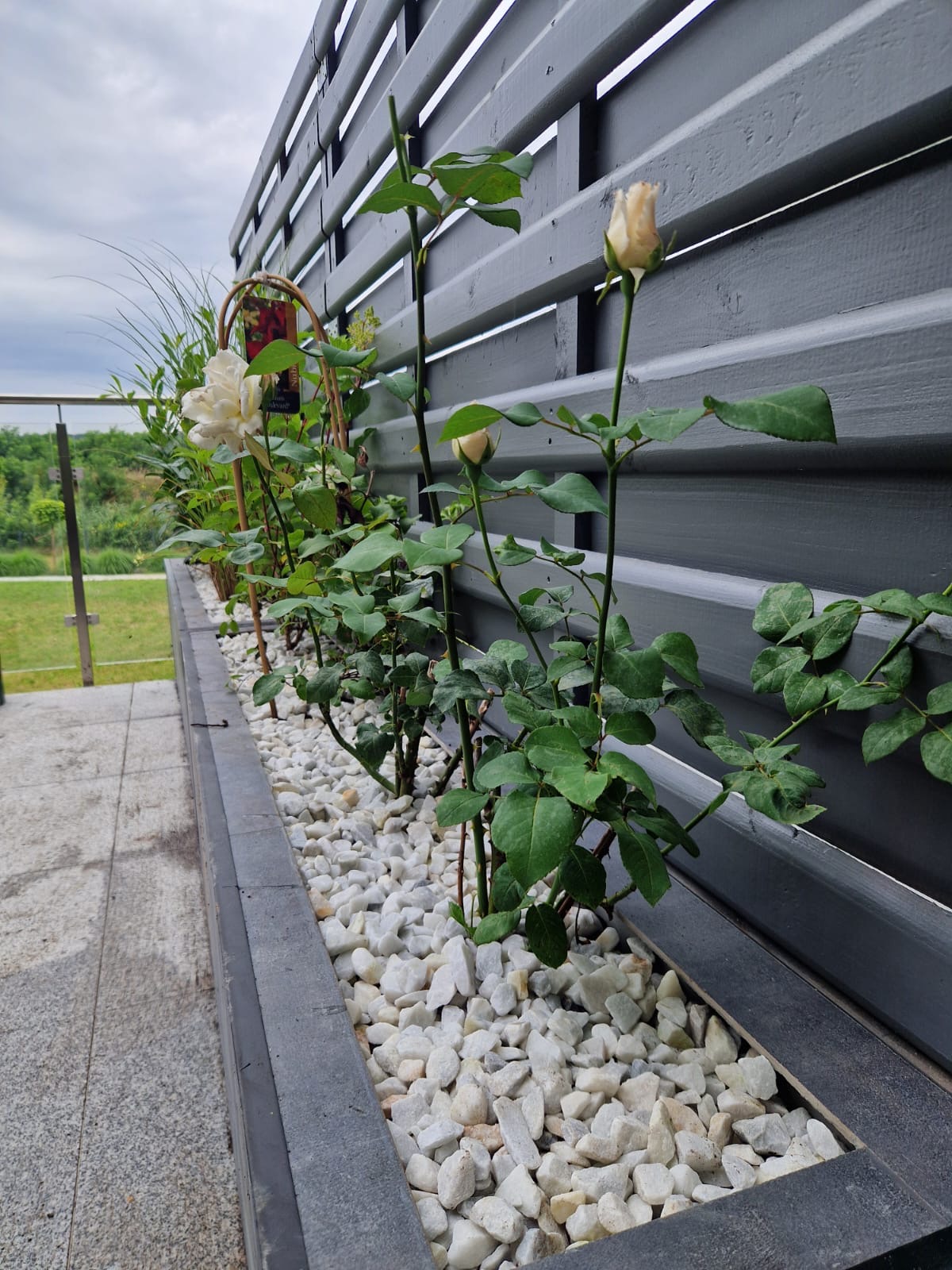 Projektowanie ogrodu — Firma KRZAK